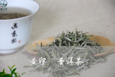 黄印 普洱茶/2023042699153